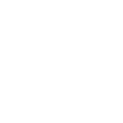 安币app官方正版下载