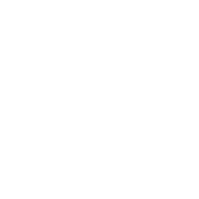 安币app官方正版下载